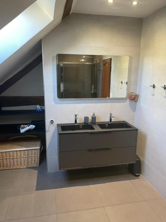 Le Logis Du Regisseur Bed & Breakfast Charny-Oree-de-Puisaye Екстериор снимка